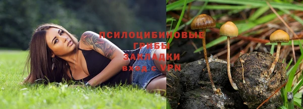 apvp Алексеевка