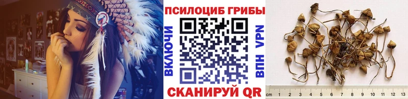 Галлюциногенные грибы GOLDEN TEACHER  Тогучин 