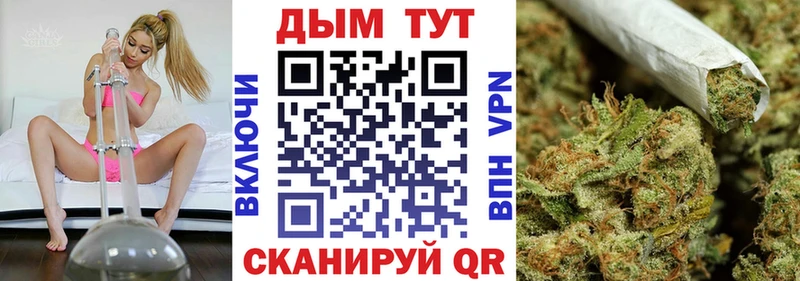 Бошки Шишки сатива Тогучин